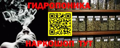 стафф Лесосибирск